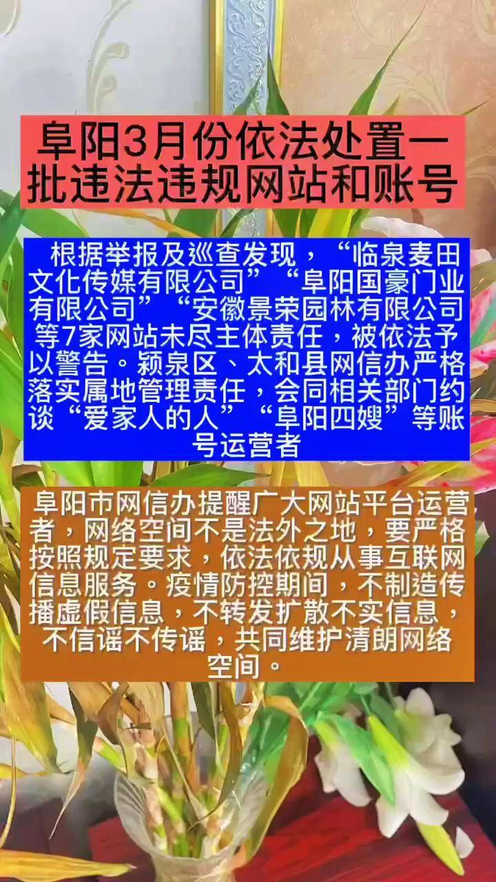 晚上免费正能量网站晚上正能量网址免费推荐