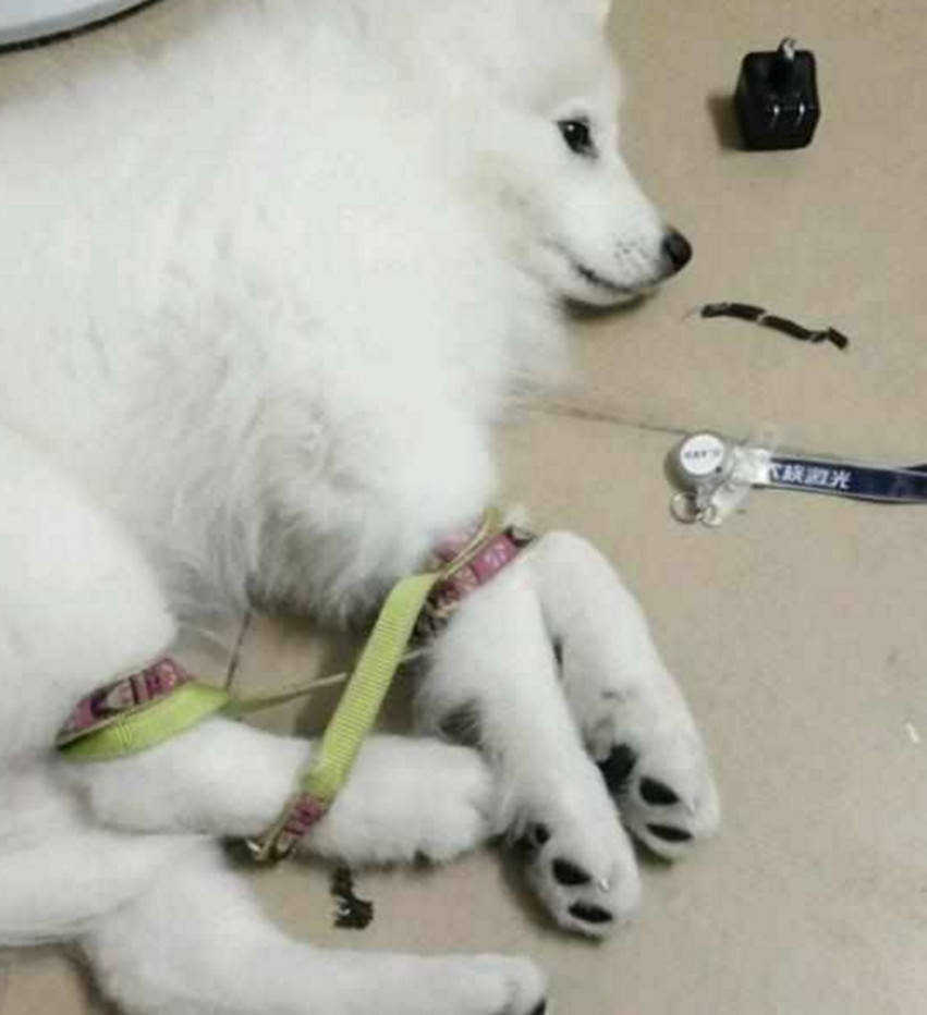毛都没有就被开了苞在线电影毛都没有被开苞在线电影-第1张图片
