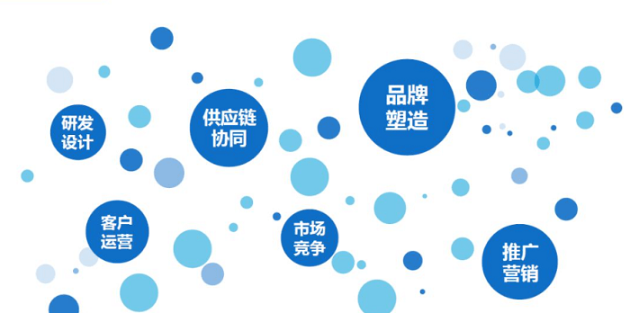 4381.com，数字时代的网络新天地