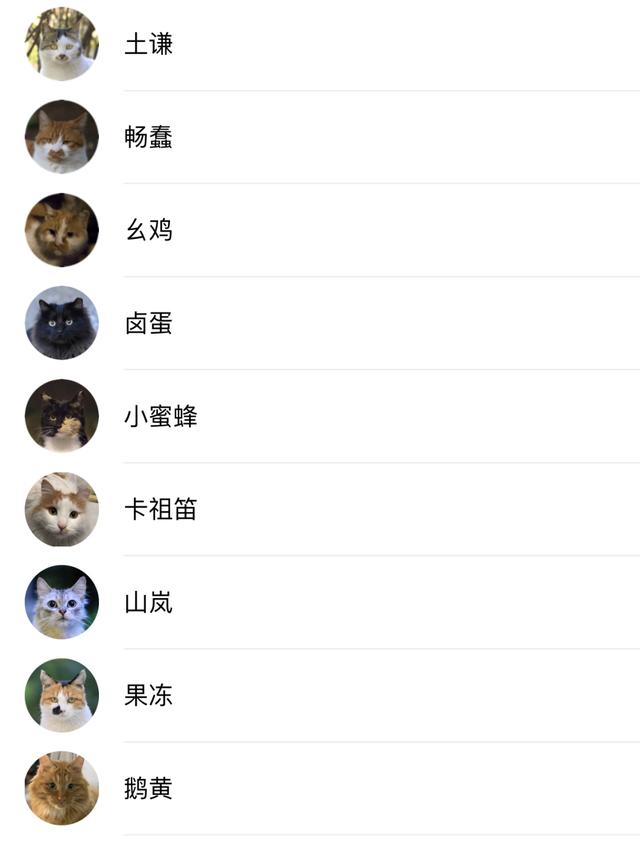 猫咪社区app官网入口进入猫咪社区APP官网入口进入指南