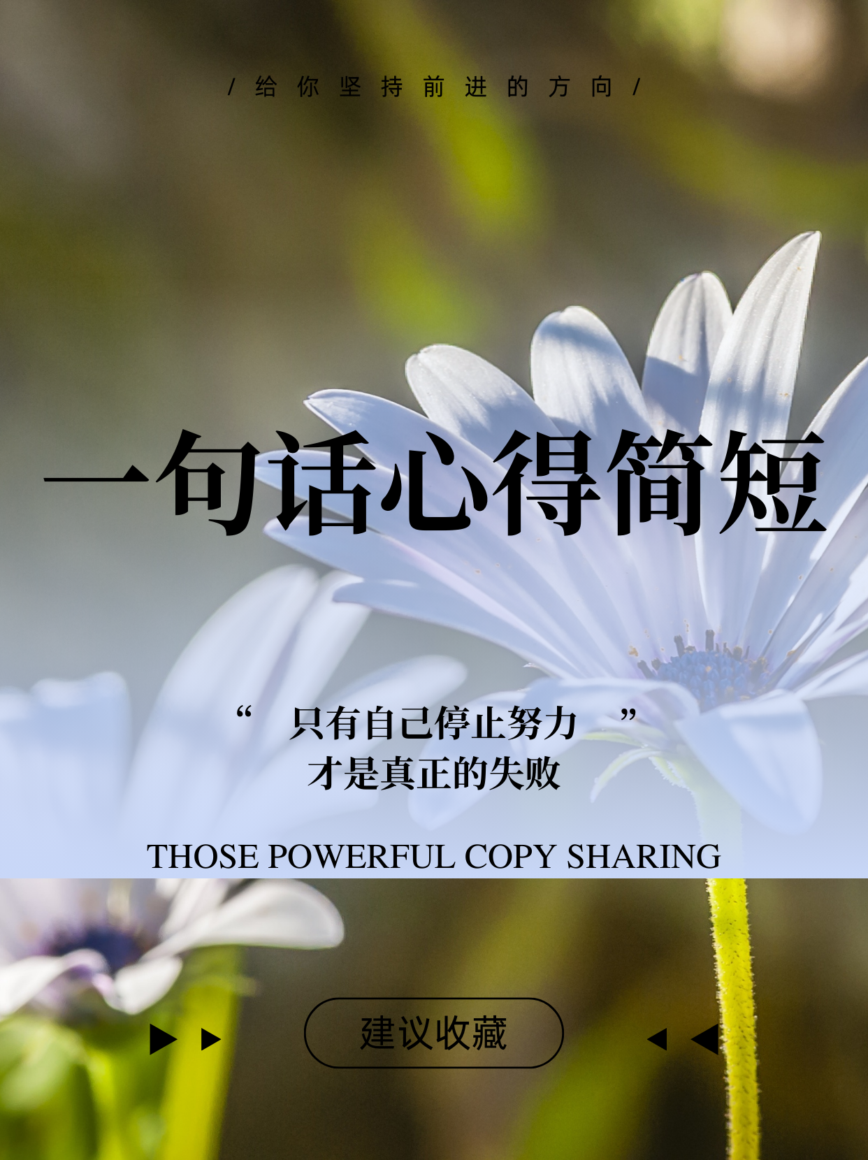 曾道人一句话，智慧与人生的启示-第2张图片
