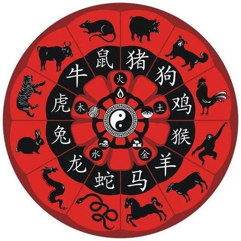 码前一后有玄机是什么生肖码前的探索与思考