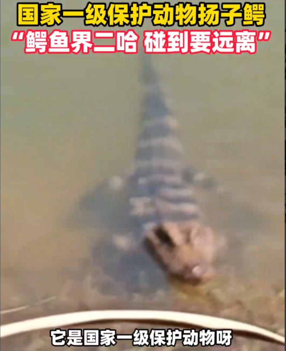 比思论坛特区_第1集比思论坛特区，创新与发展的热土-第2张图片
