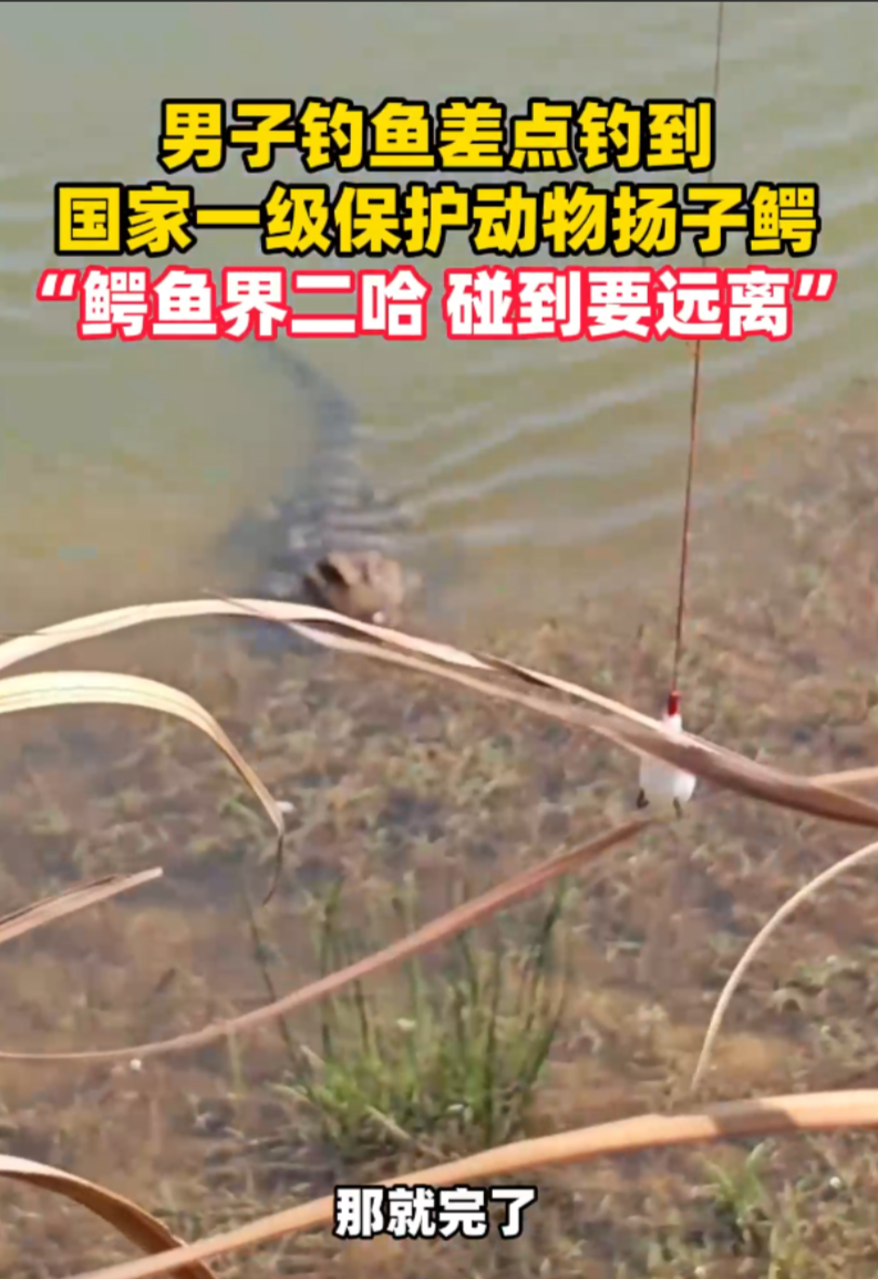 比思论坛特区_第1集比思论坛特区，创新与发展的热土-第3张图片