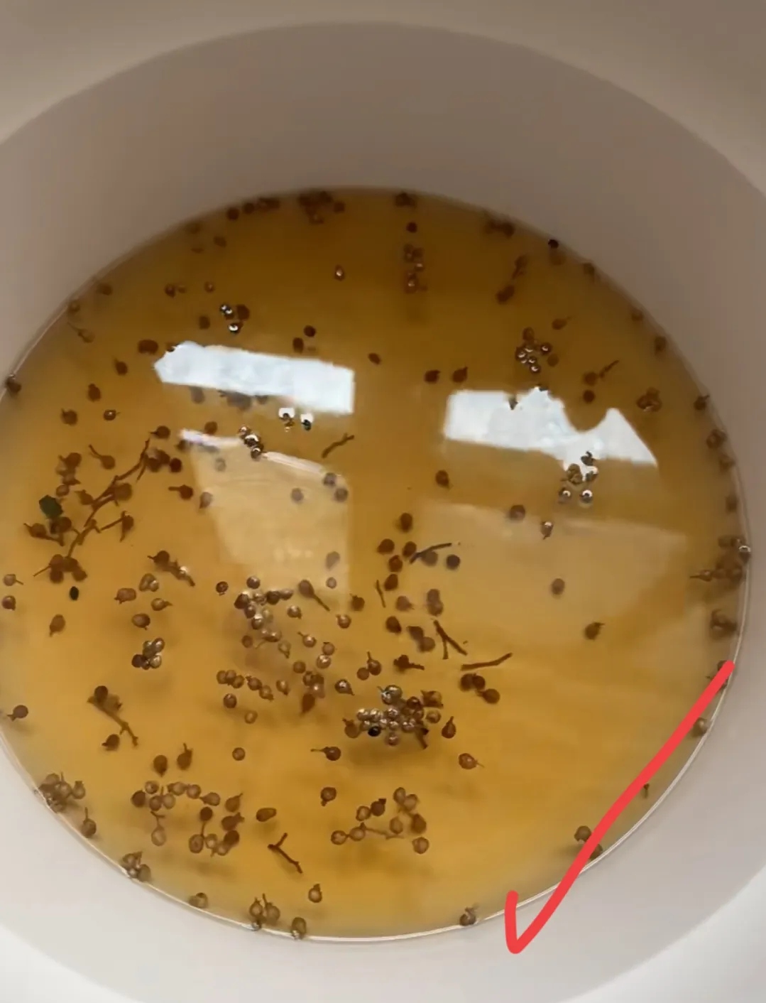 小东西几天没做喷的全是水小东西几天没做喷满水-第2张图片