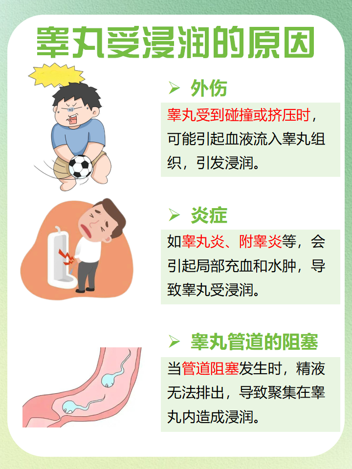 男受被吊起来用震蛋折磨男受被吊起来用震蛋折磨-第2张图片