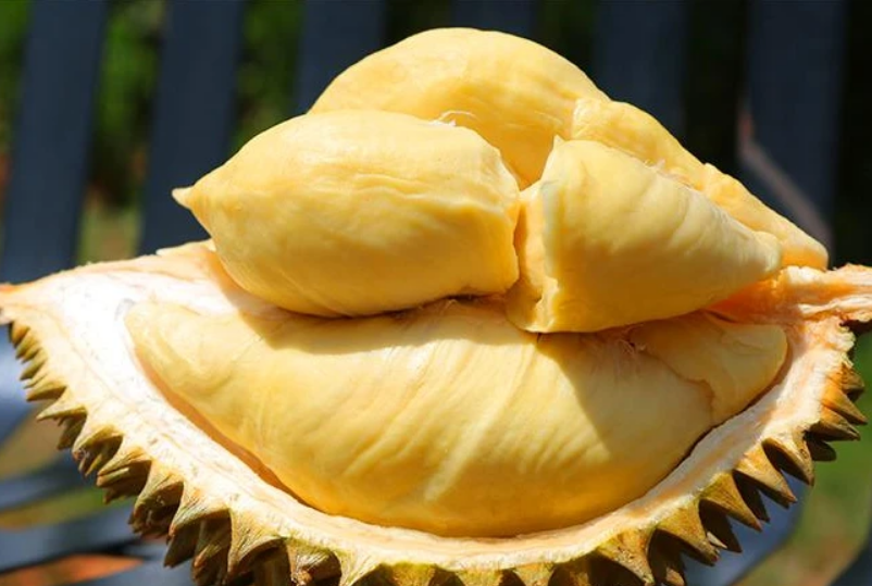 榴莲 sp榴莲，神秘之果与独特风味