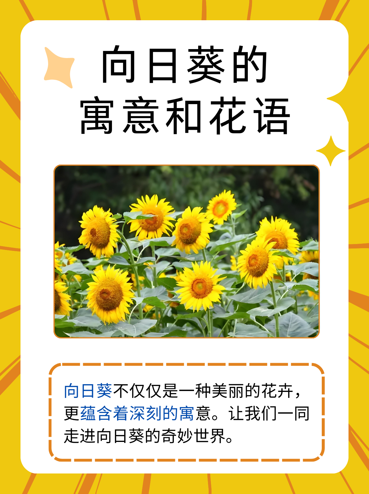 向日葵app免费下载官方网站幸福宝向日葵App官方下载网址及幸福宝介绍-第1张图片