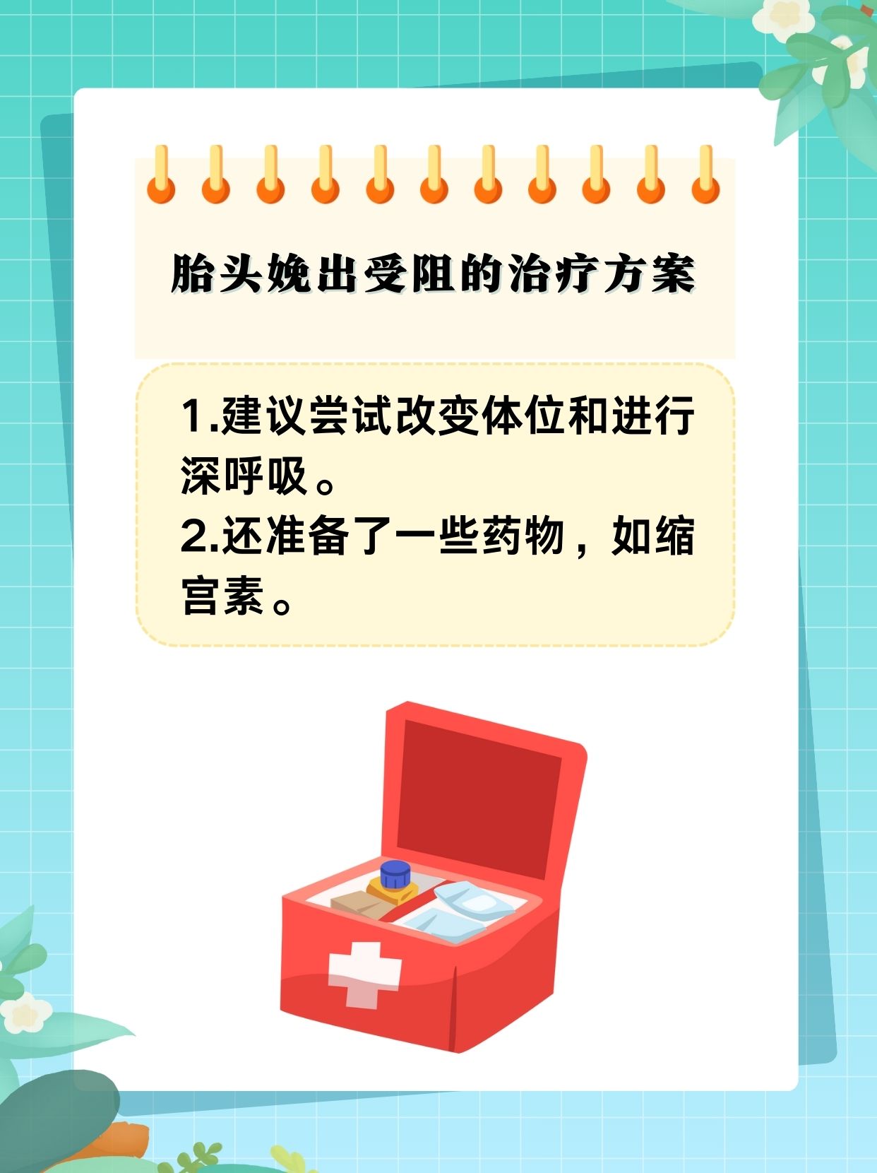 ALPHA孕囊顶开 分娩ALPHA孕囊顶开，分娩之路启程