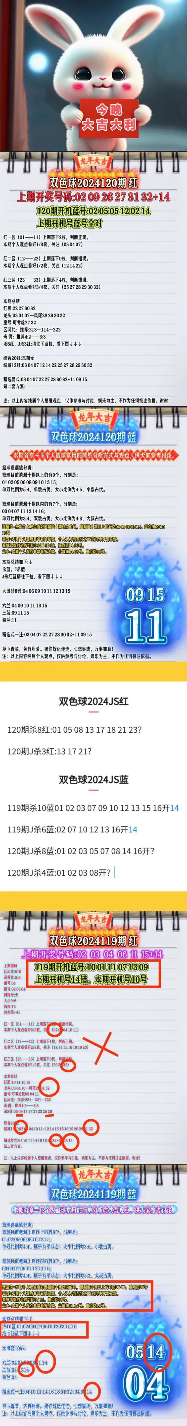 双色球软件破解版，风险与选择-第3张图片