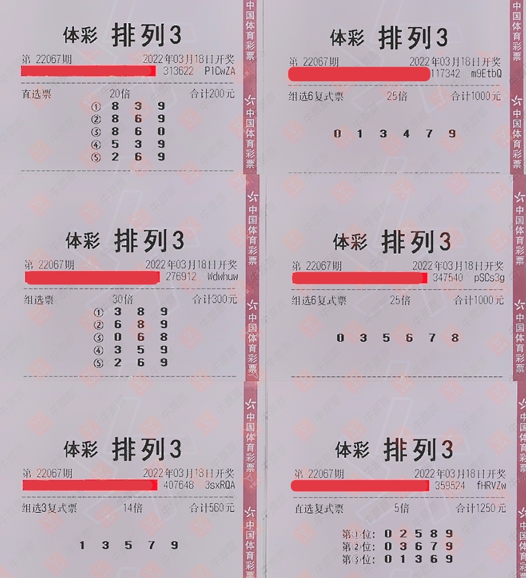 福彩3D开奖直播，揭秘彩市风云