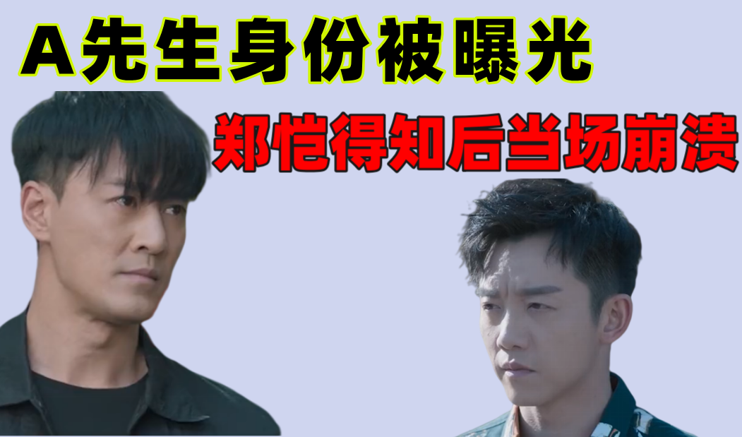 也平凡在哪个APP播放-第3张图片