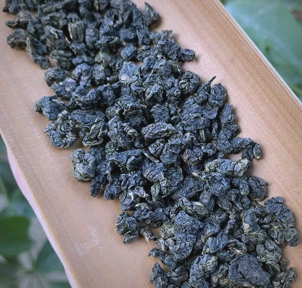 白芽奇兰白芽奇兰，兰花中的珍品