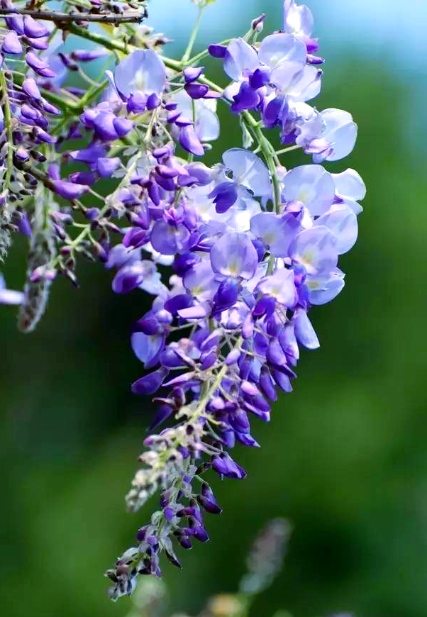春暖花开网络科技有限公司春暖花开论坛最新地址揭秘