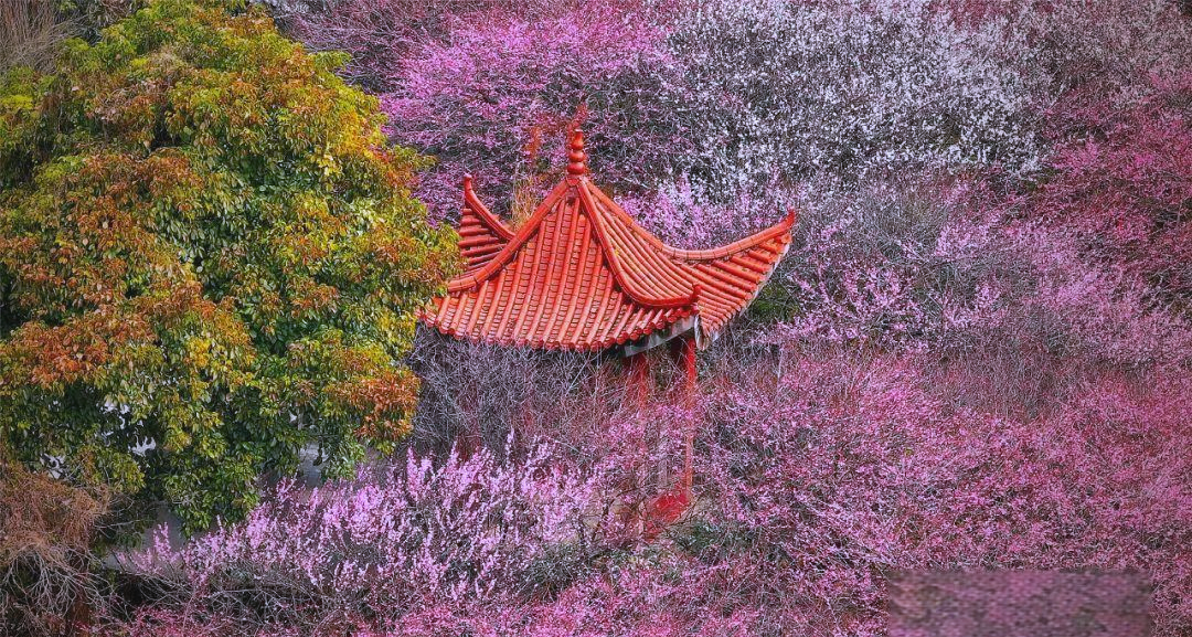 春暖花开，探索xingbayouni