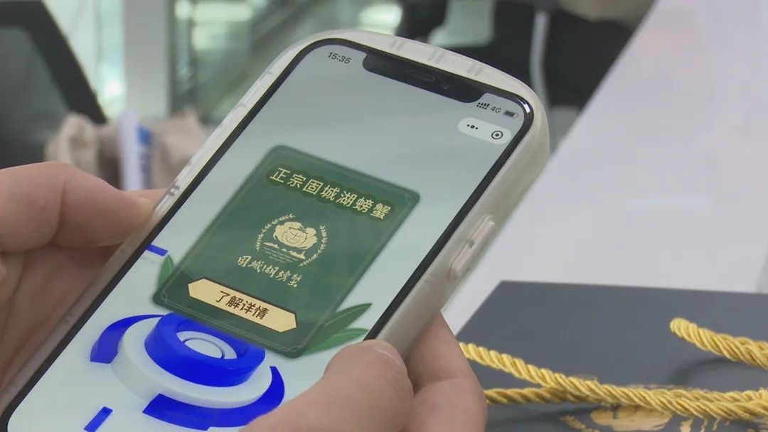 三码三码研究