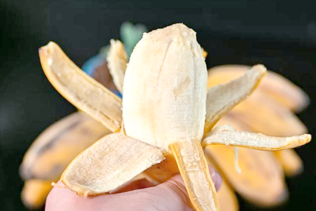 91香蕉小视频91香蕉小视频，探索美味与创意的融合-第2张图片
