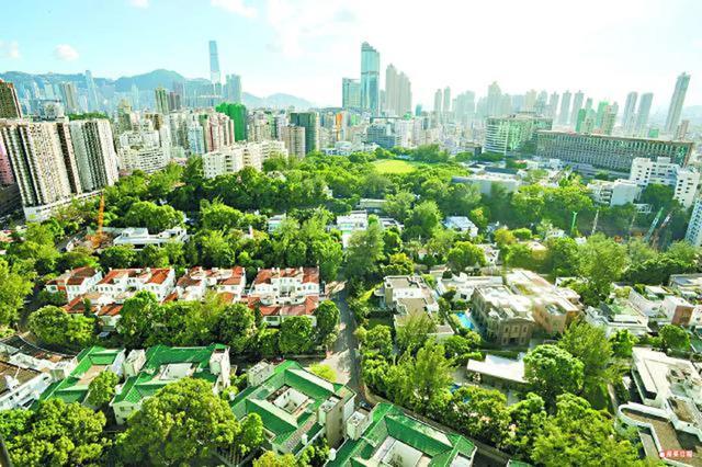 香港最真正最准资料，探寻真相的黄金指南-第1张图片