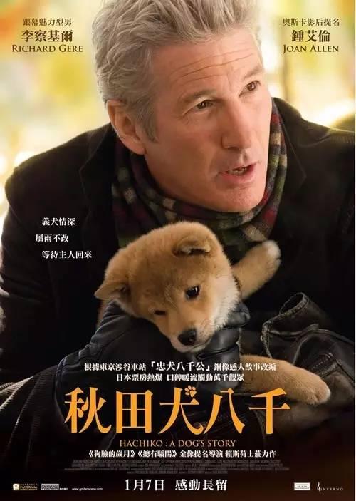 成全片大全-第2张图片