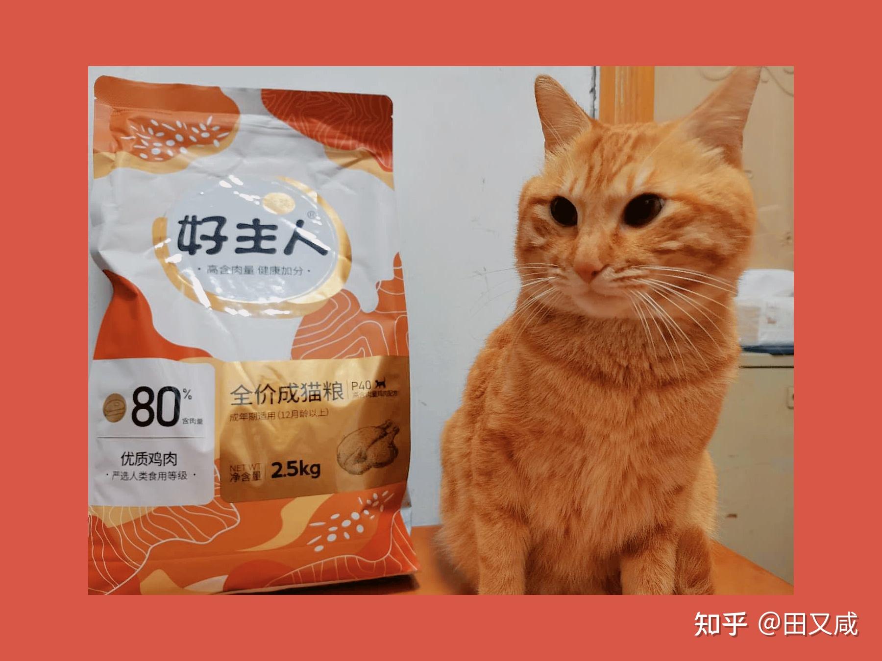 国产精品99国产精品99，品质之选-第1张图片