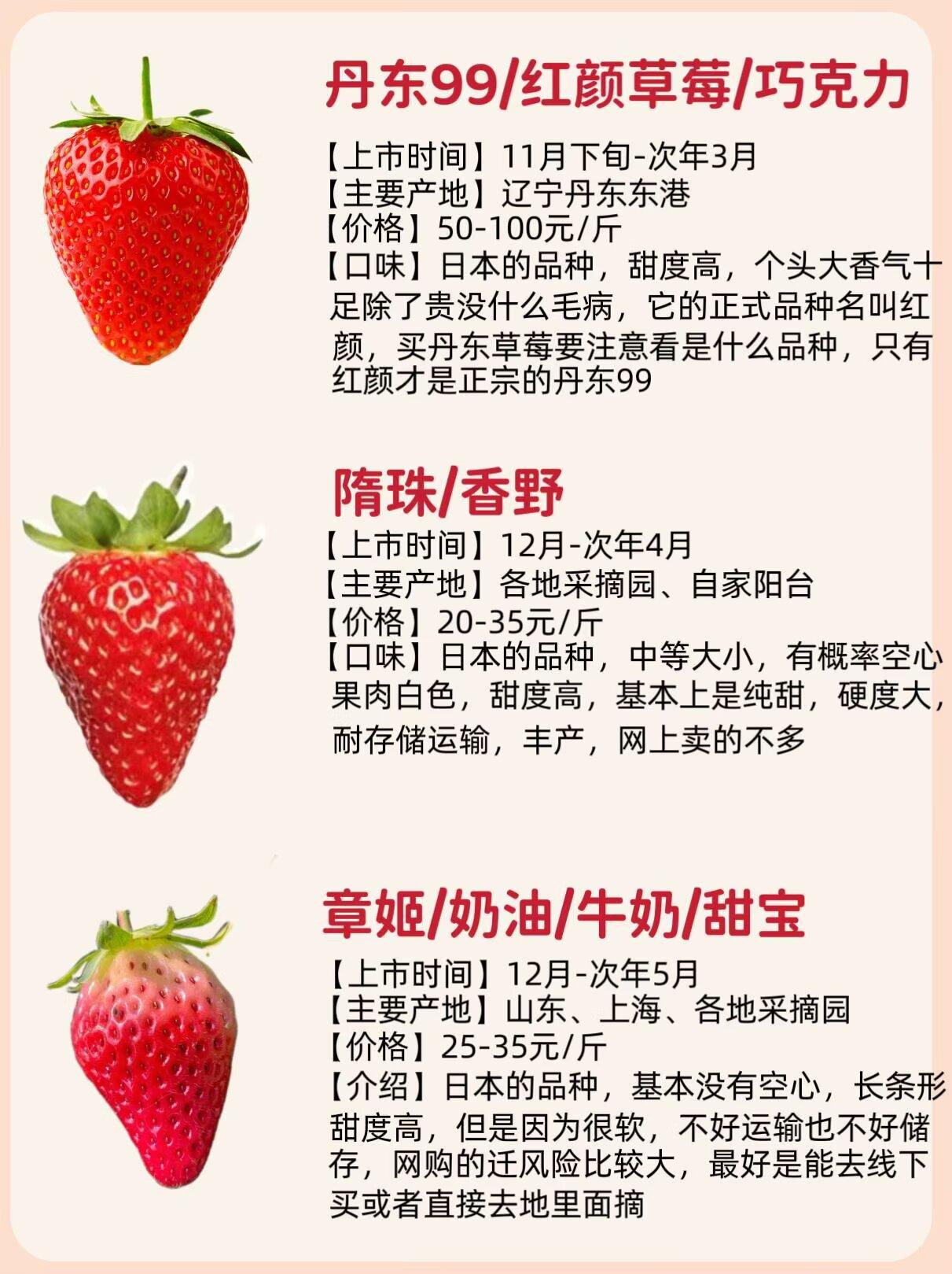 草莓视频深草莓视频深度解析-第2张图片