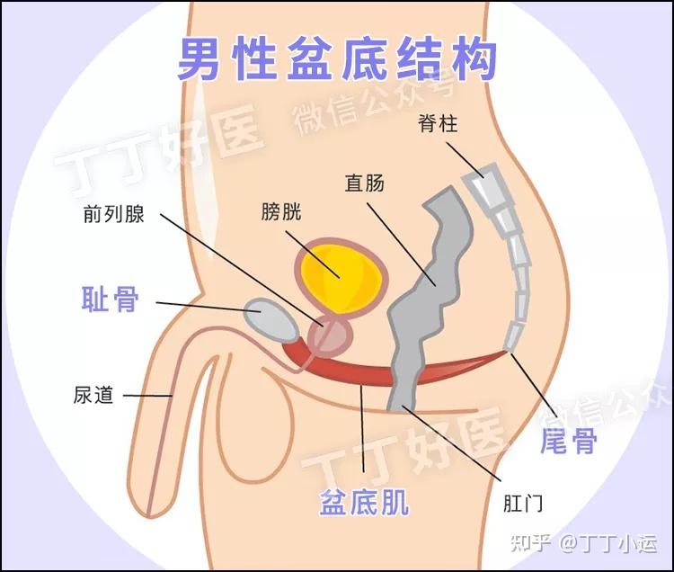 性福的游泳教练性福的游泳教练-第2张图片