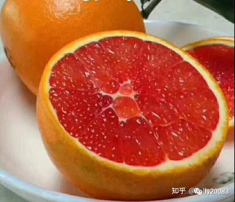 红橙网名红橙网，探索网络世界的多彩篇章-第2张图片