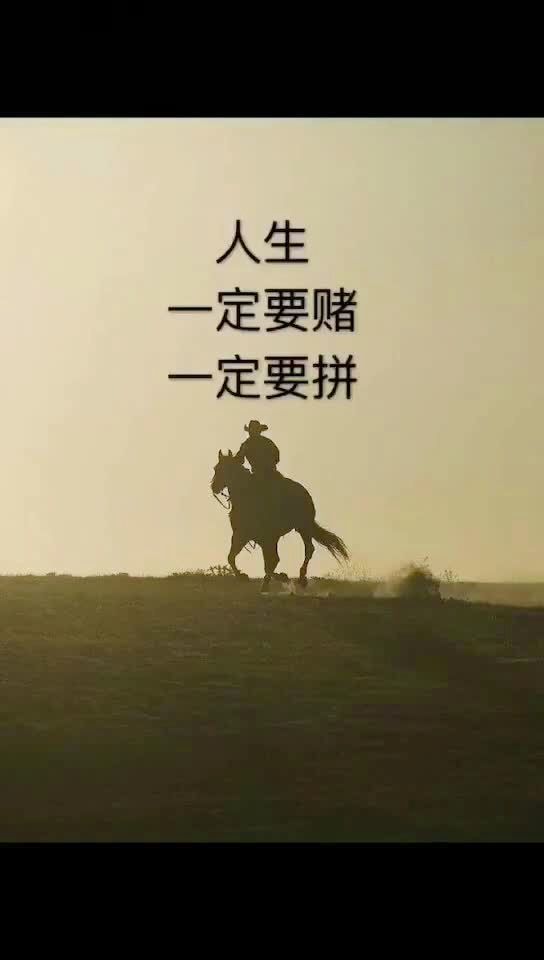 爱拼888官方网站爱拼888，勇敢拼搏的人生篇章