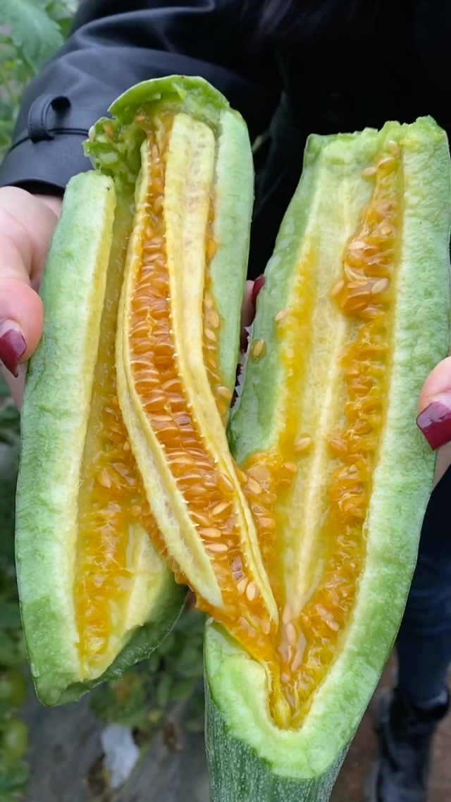 黄瓜视频APP下载安装无限看-丝瓜苏州晶体黄瓜视频APP下载安装无限看-探索苏州丝瓜晶体-第3张图片
