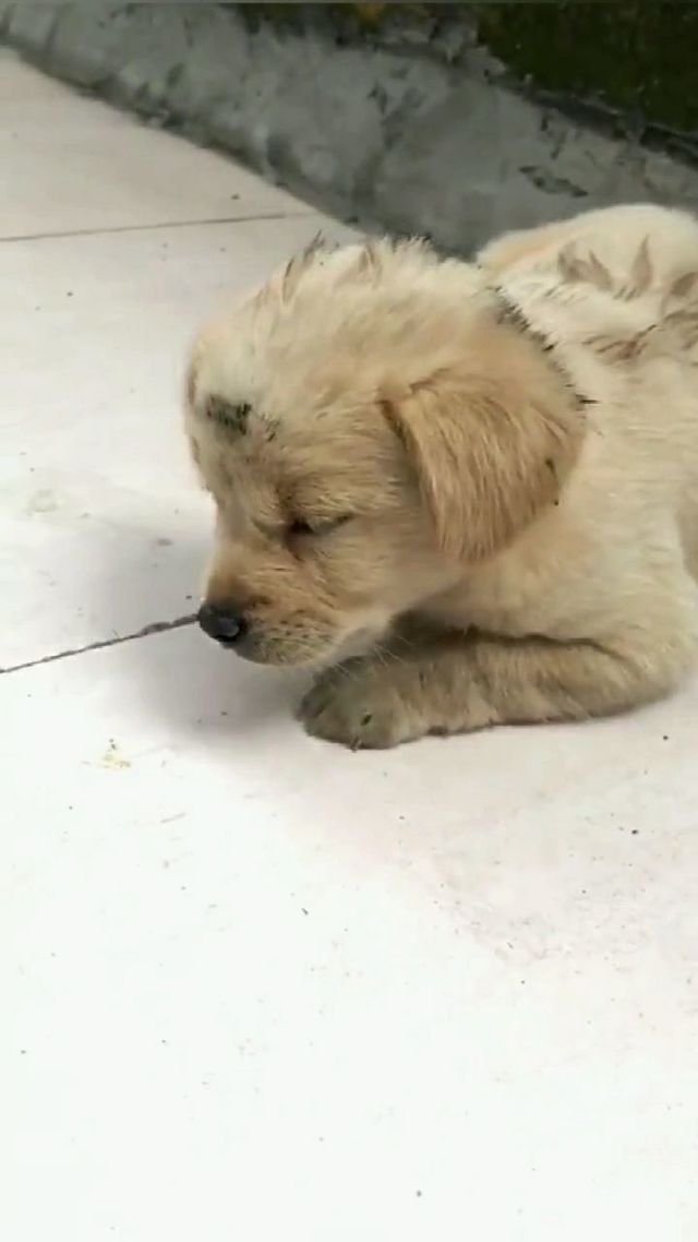 这样的BB你见过吗？