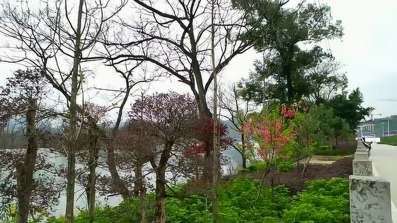桃花在线观看免费观看BD桃花在线免费观看BD文章-第3张图片
