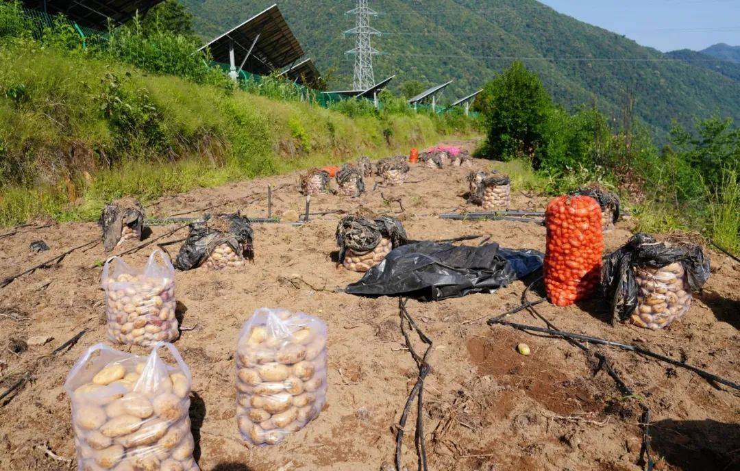 老窝鸭永久免费视频新地址老窝鸭永久免费视频新地址介绍