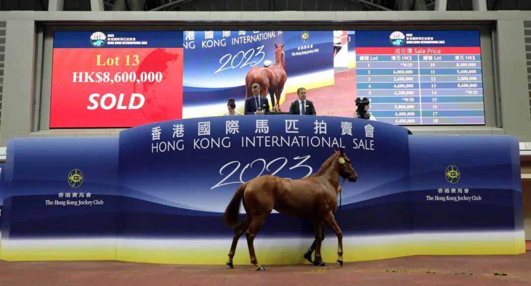 香港赛马会资料信息唯一官方网站香港赛马会资料概述-第2张图片