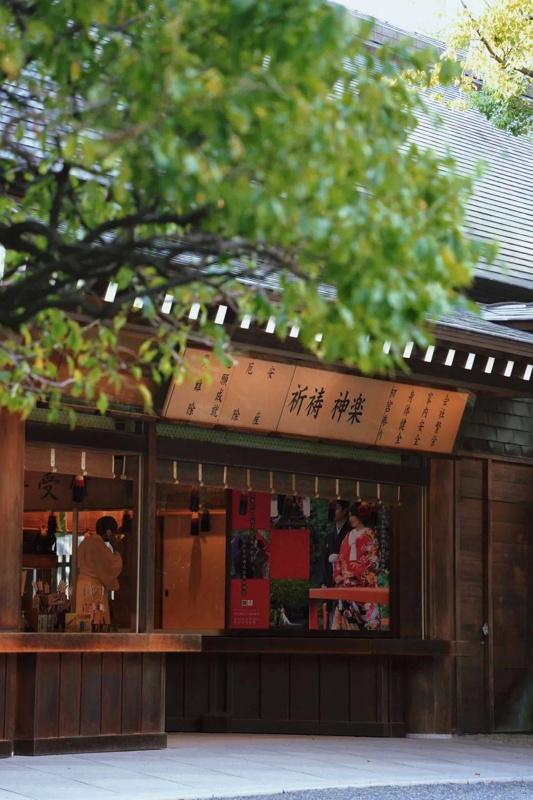 日本道二区视频，探索日本文化的魅力