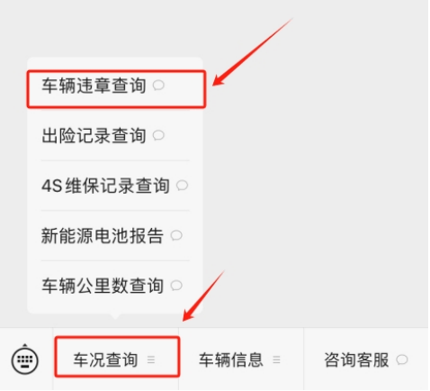 123123违章车辆查询系统介绍
