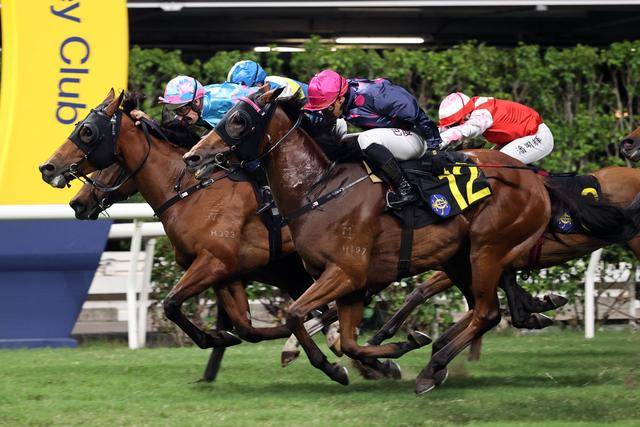 香港赛马会精选资料大全使用方法香港赛马会精选资料大全-第3张图片