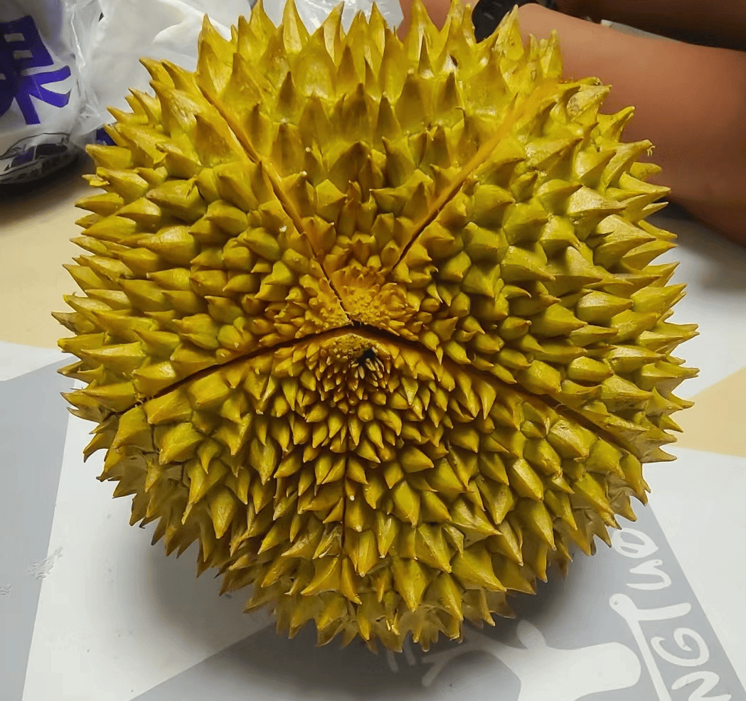 榴莲免费视频app。榴莲视频APP免费观看，探索视频新世界-第2张图片