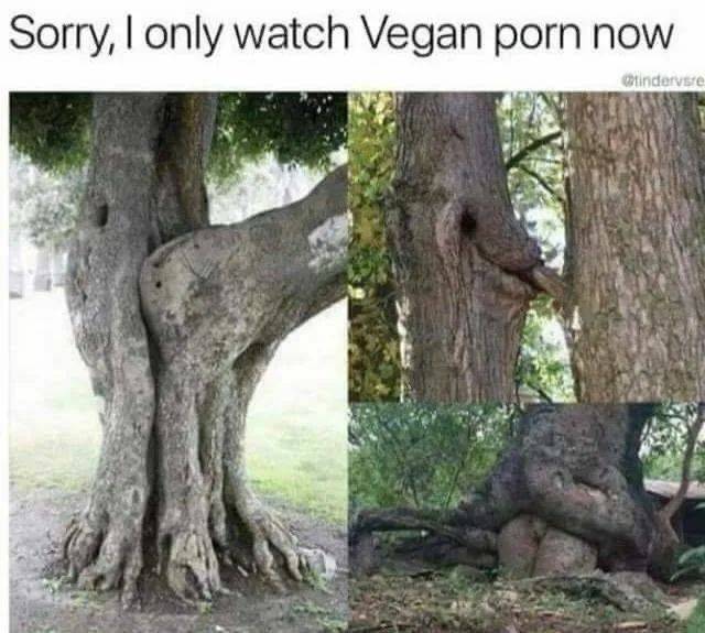 特级精品毛片免费观看
