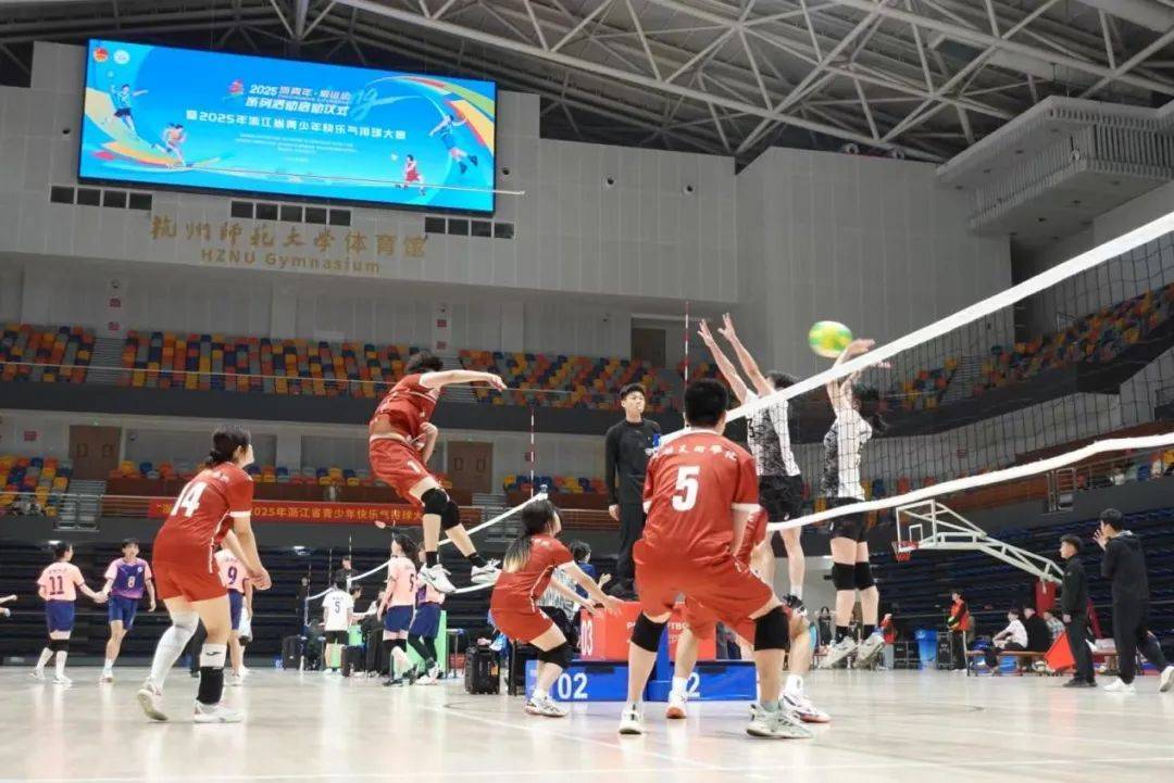 浙江快乐12一定牛浙江快乐12一定牛