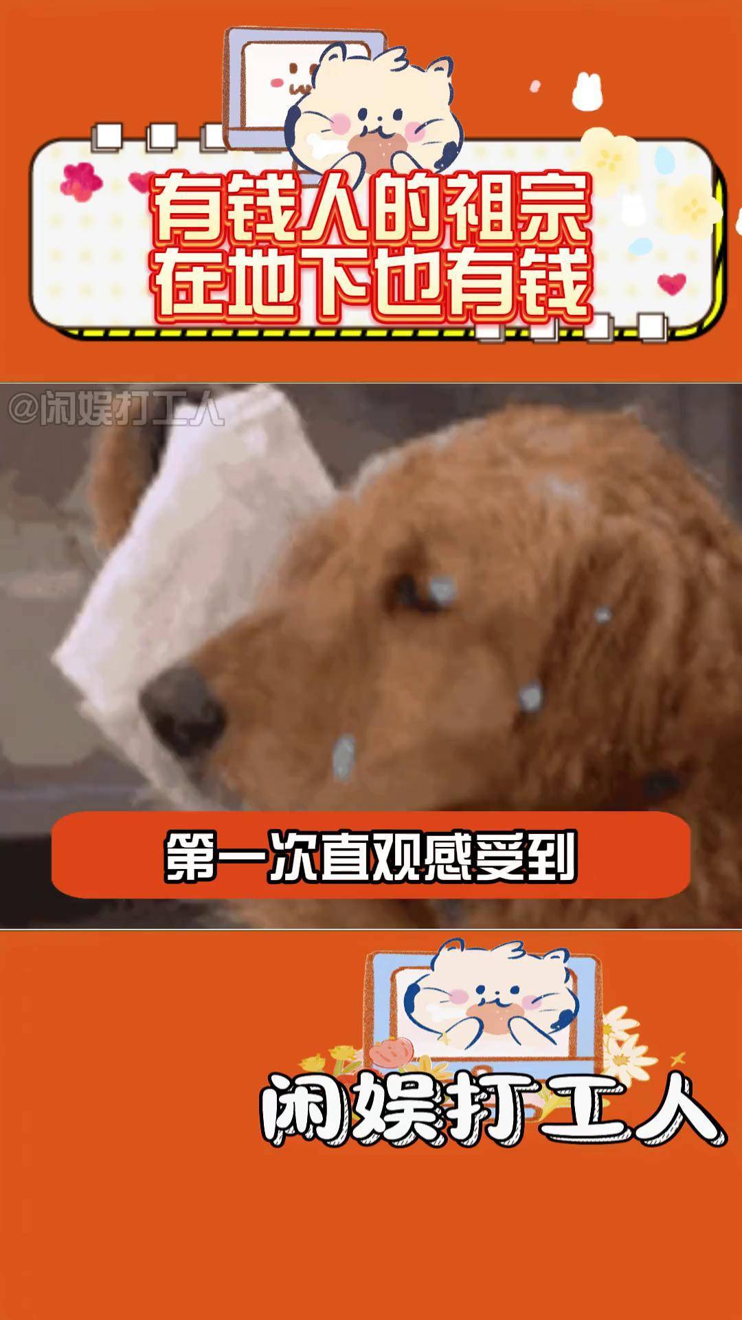 搞笑车祸视频笑死人搞笑车祸视频-第3张图片