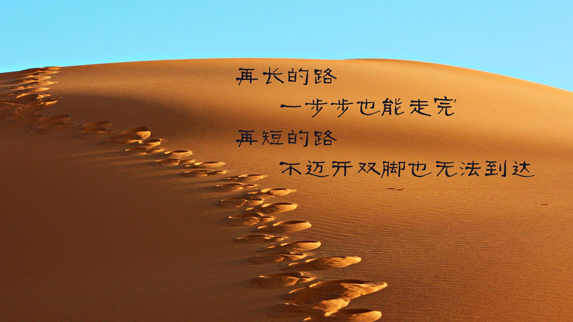 一个人色导航，探索自我与情感的智慧之旅