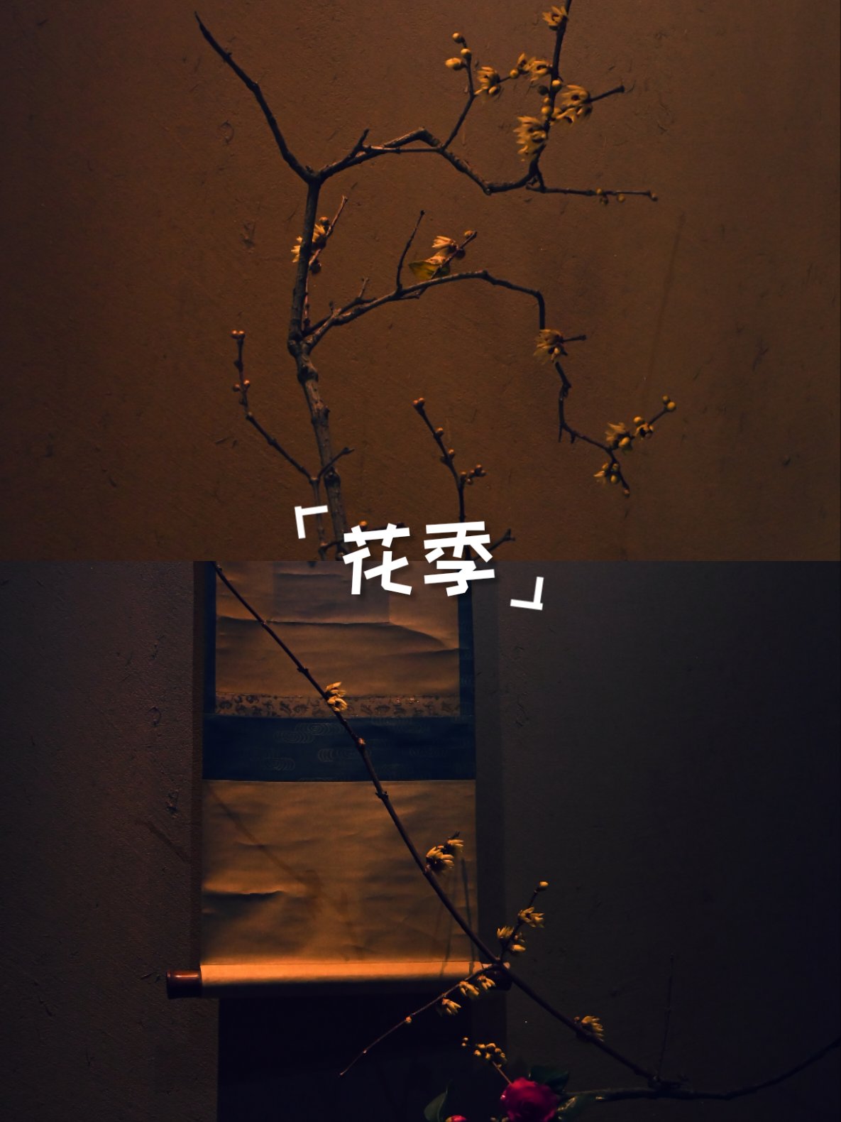 花季v3.175在线下载花季V3.173在线下载