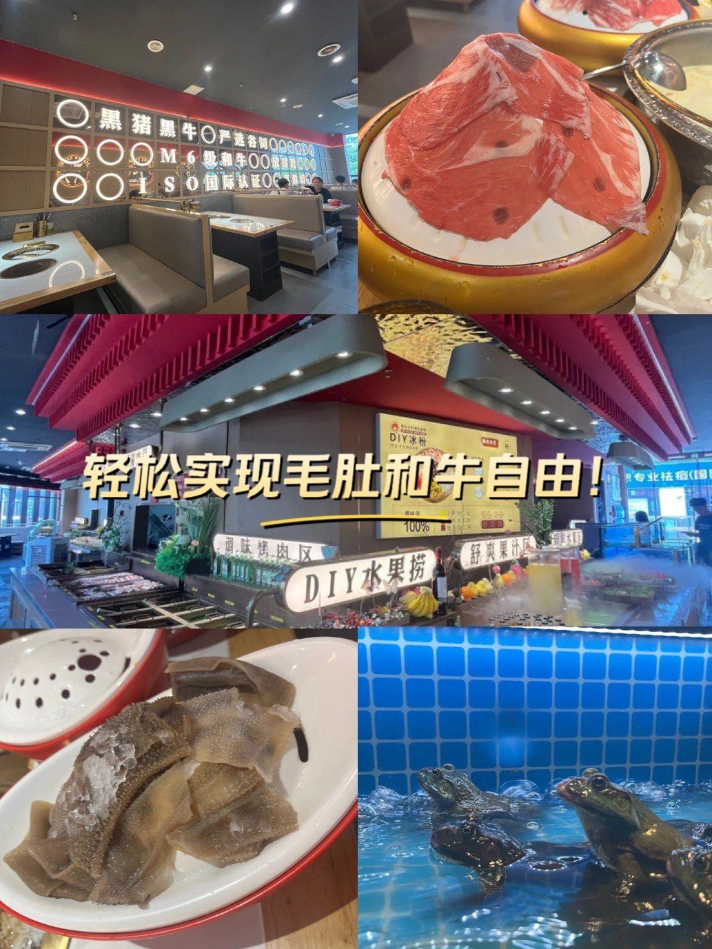 大胃王下载，探索美食天堂的新途径