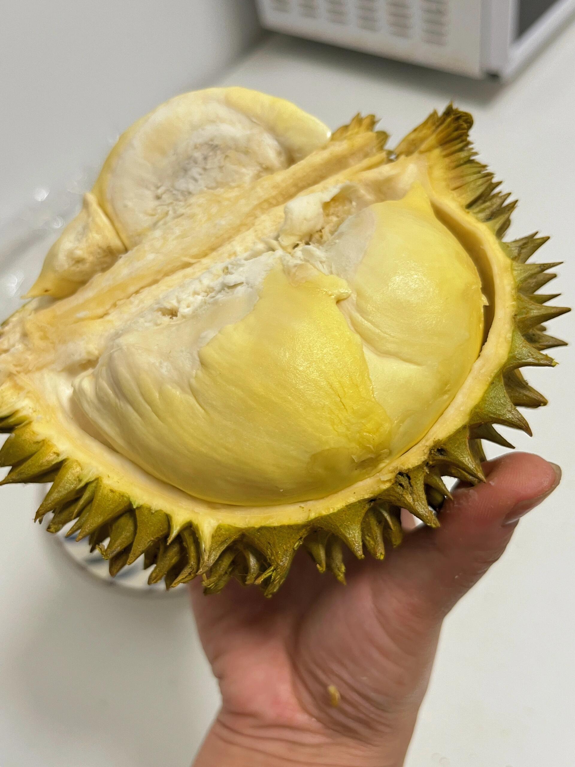 榴莲视频在线观看下载-第2张图片