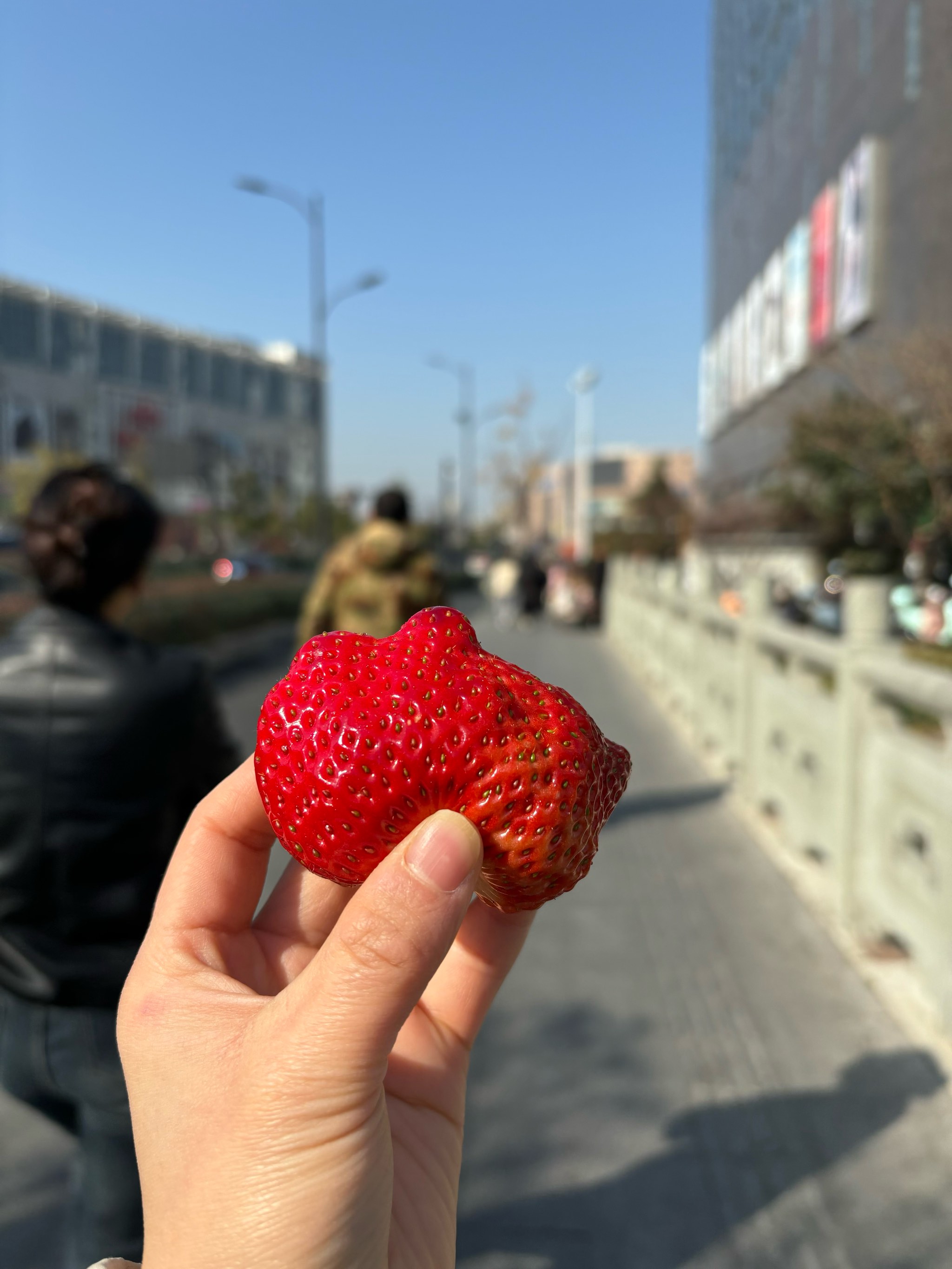 草莓视频释放深夜的自己草莓视频释放深夜的自己-第2张图片