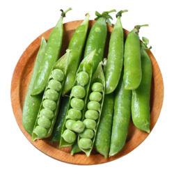 豌豆直播豌豆直播，播种新希望-第2张图片