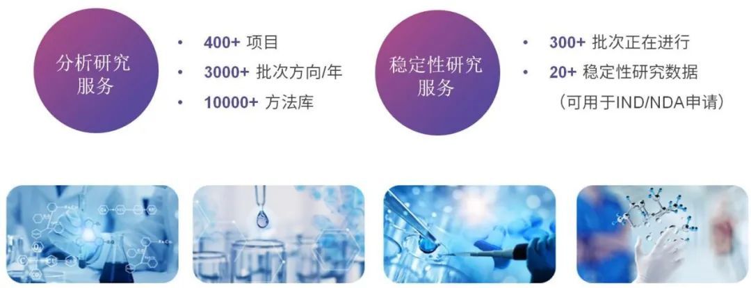 免费网站大全，一站式探索互联网资源-第3张图片