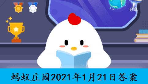 龋齿蚂蚁庄园龋齿问题与蚂蚁庄园-第1张图片