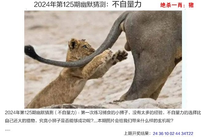 澳门三肖三码期期准精选什么动物白手起家靠自己澳门三肖三码期期准资料免费