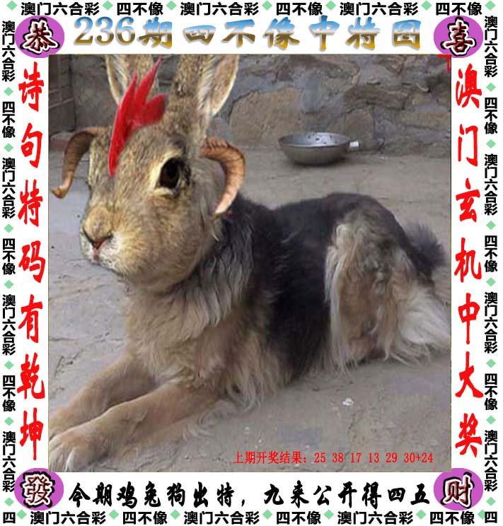 246天天好彩精选资料大全天下彩246天天好彩精选资料大全，天下彩的丰富资源